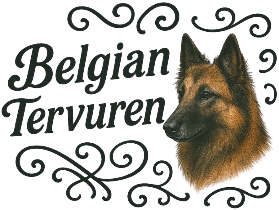 Belgian Tervuren Portrait & Script