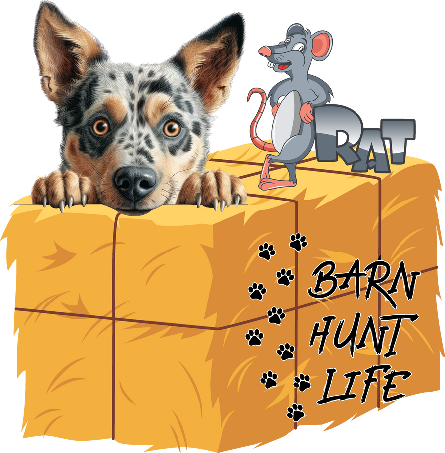 Barn Hunt Life - Australian Cattle Dog