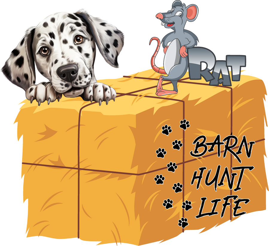 Barn Hunt Life - Dalmatian