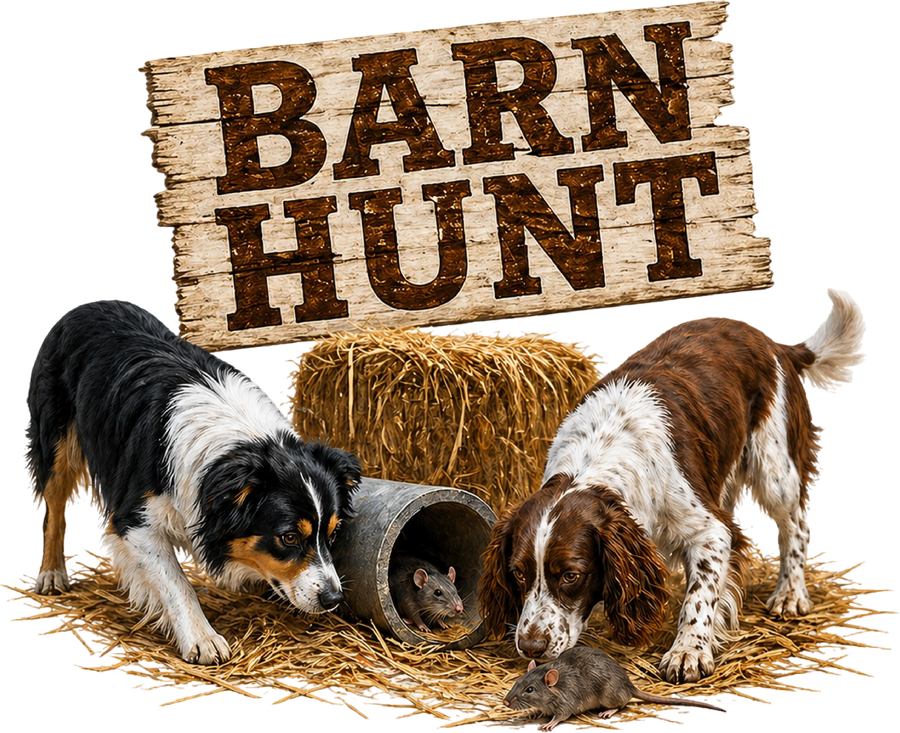 Barn Hunt Sign - Australian Shepherd & Springer Spaniel