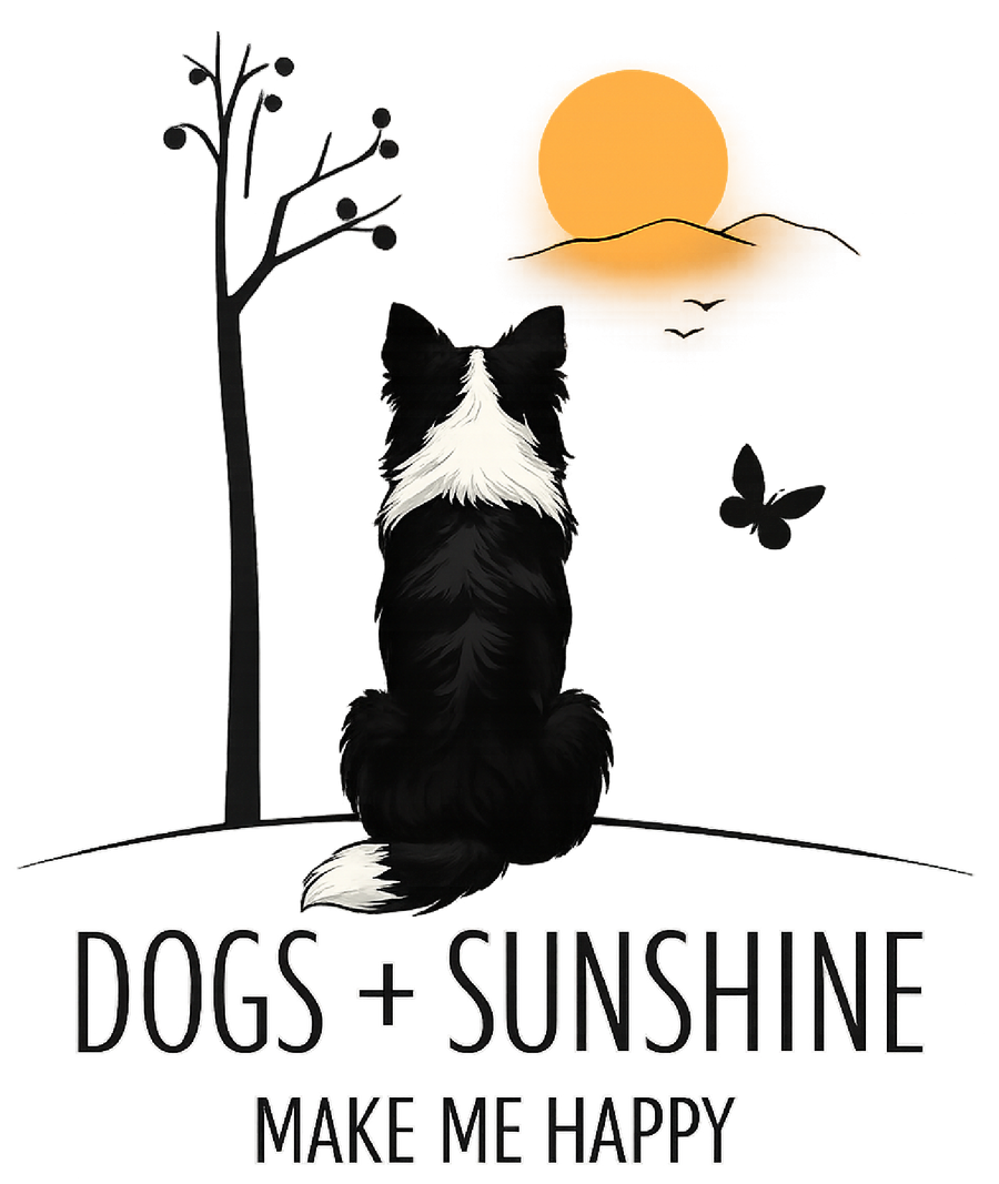 Dogs + Sunshine Make Me Happy - Border Collie