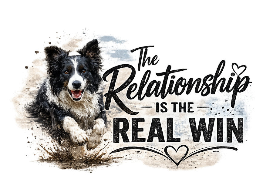 The Relationship Is the Real Win - Border Collie