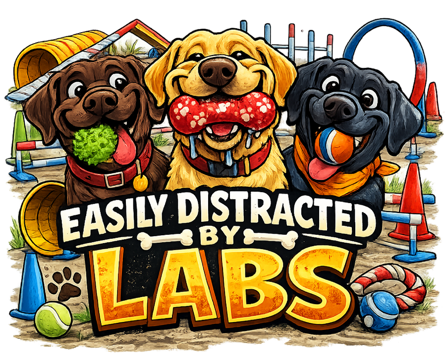 Easily Distracted by Labs