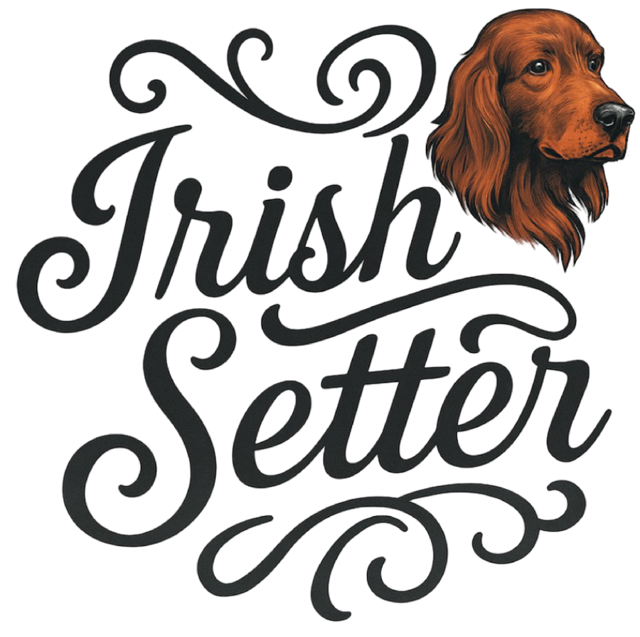 Irish Setter Portrait & Script