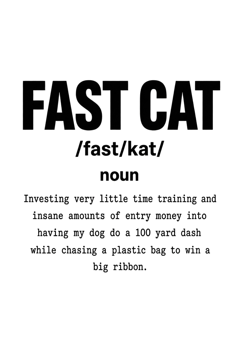 Fast CAT Definition