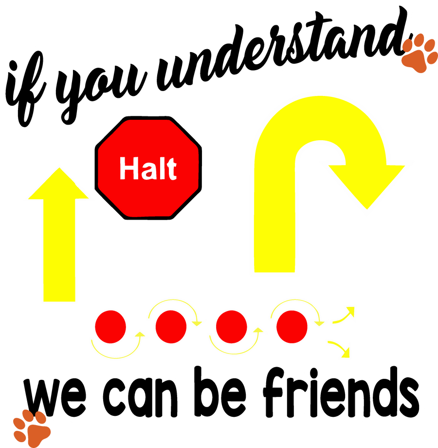 If You Understand This, We Can Be Friends - Rally