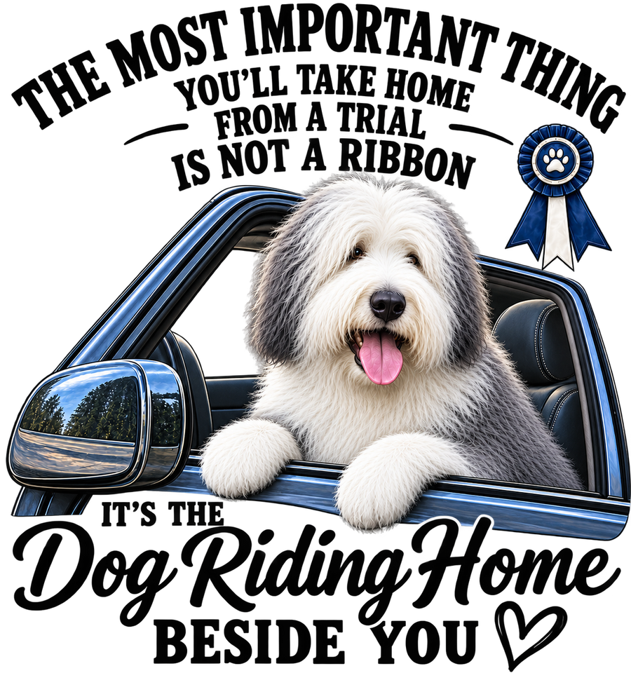 The Dog Riding Home Beside You - Sheepdog