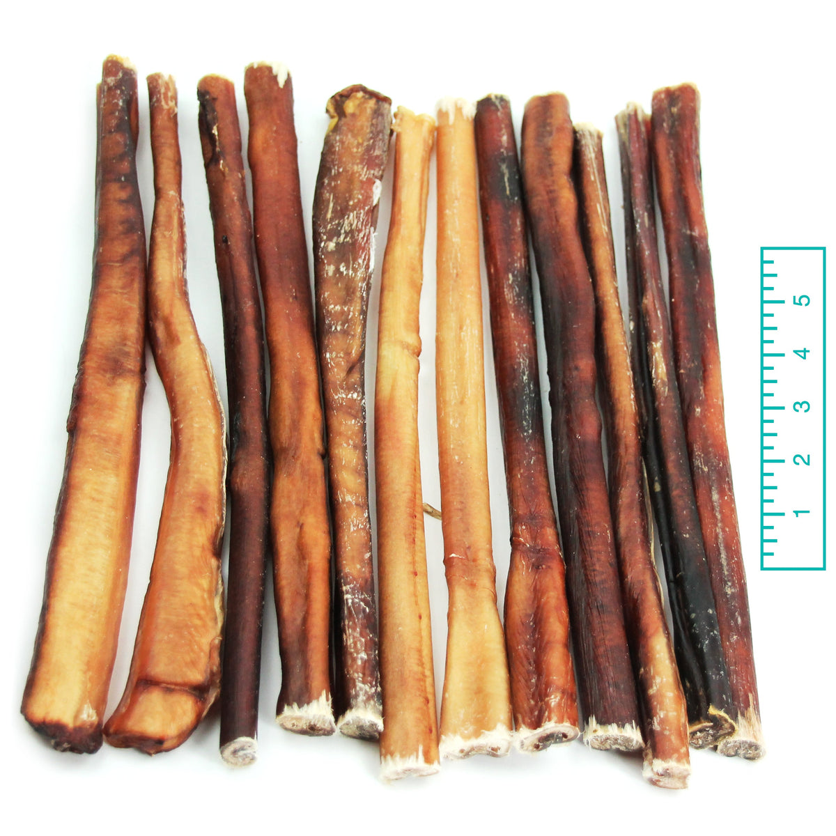 Row of 12 inch thick bully sticks
