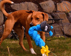 Dog carrying a blue Cycle Dog Coil Caterpillar