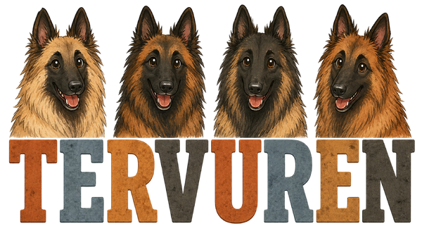 Belgian Tervuren Lineup