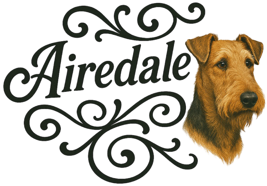 Airedale Portrait & Script