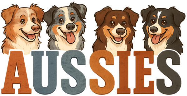 Australian Shepherd Lineup