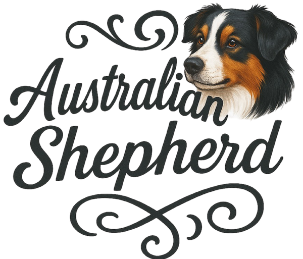 Australian Shepherd Portrait & Script
