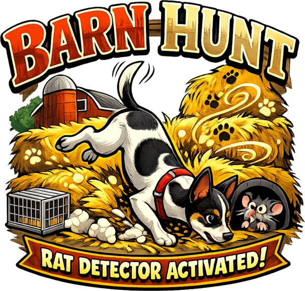 Barn Hunt Rat Detector Activated - Rat Terrier