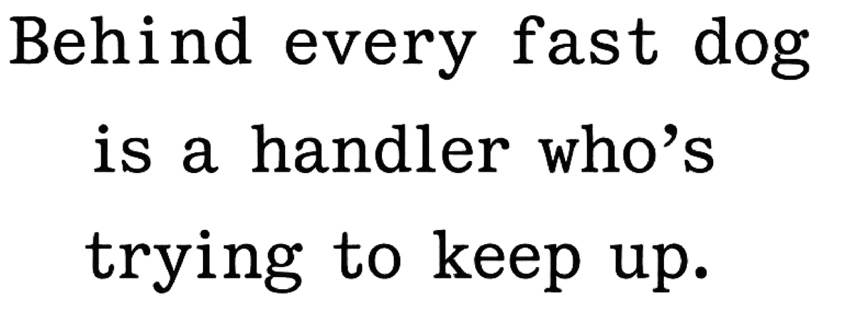 Behind Every Fast Dog Is a Handler Trying to Keep Up shirt design