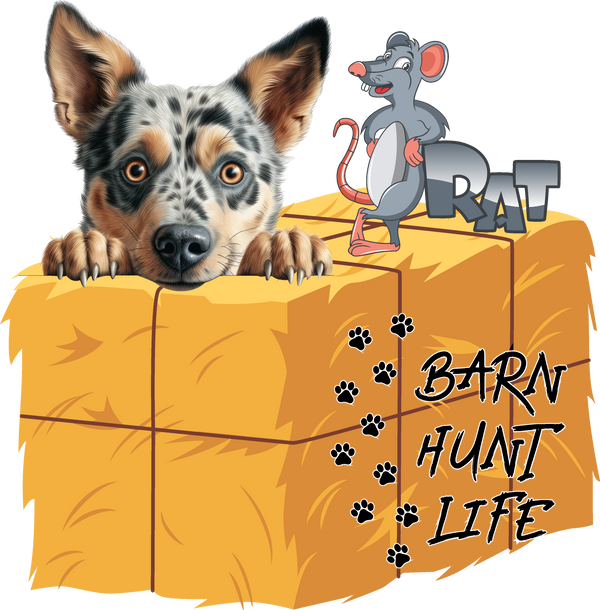 Barn Hunt Life - Australian Cattle Dog