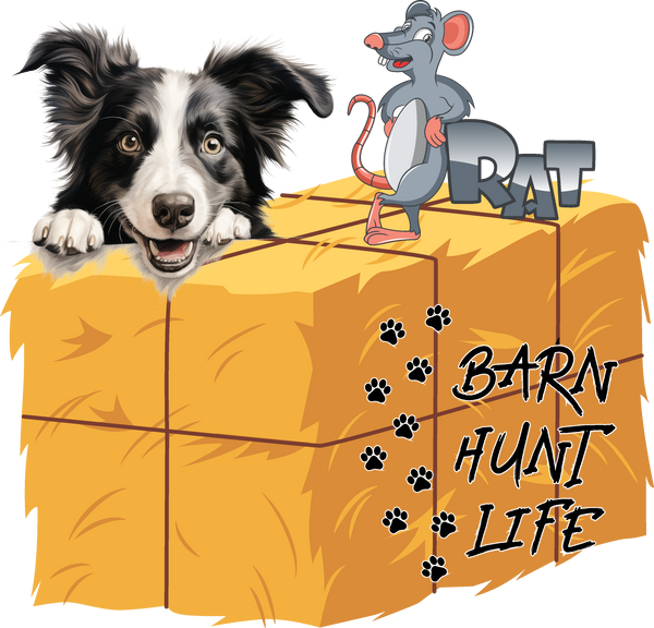 Barn Hunt Life - Border Collie