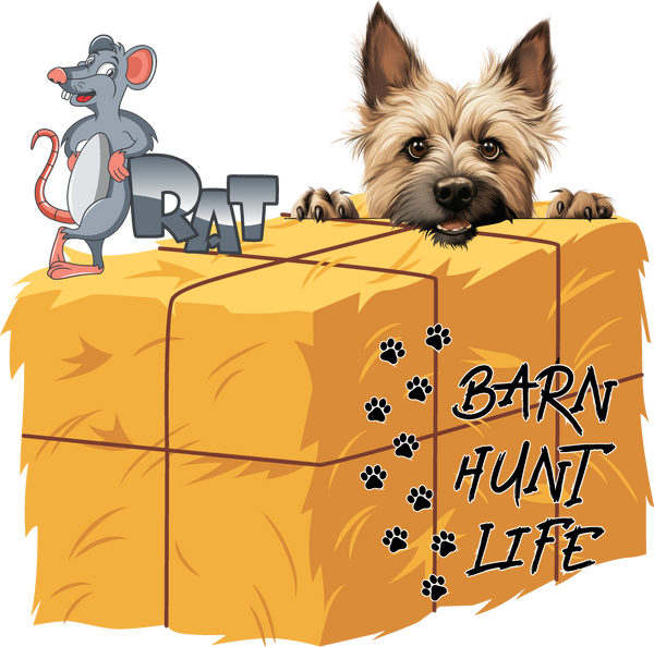 Barn Hunt Life - Cairn Terrier