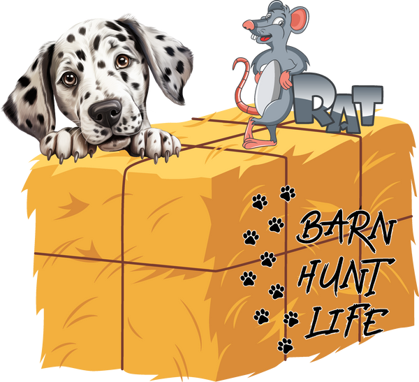 Barn Hunt Life - Dalmatian