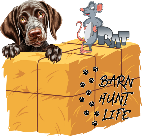 Barn Hunt Life - German Shorthaired Pointer