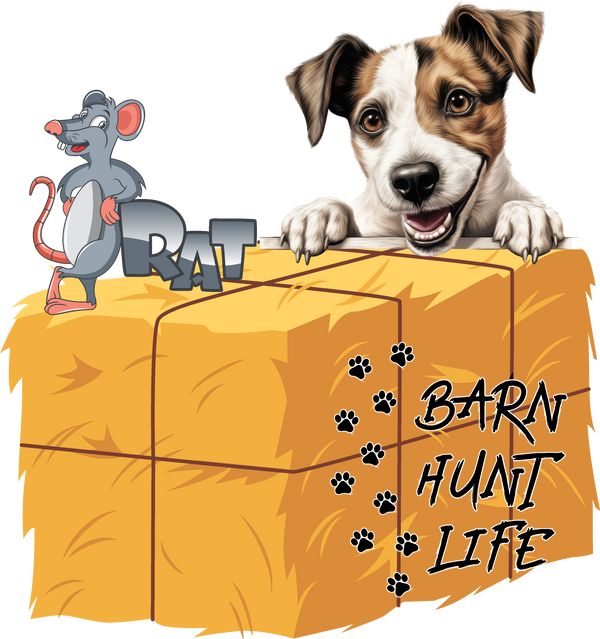Barn Hunt Life - Jack Russell (Smiling)