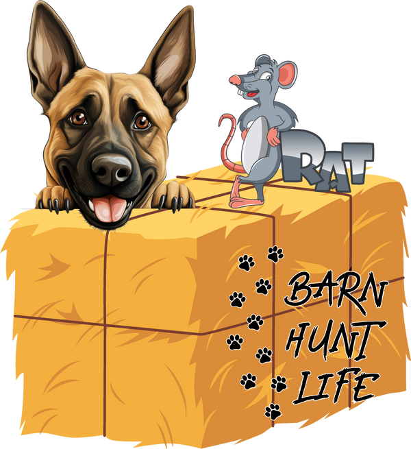 Barn Hunt Life - Belgian Malinois