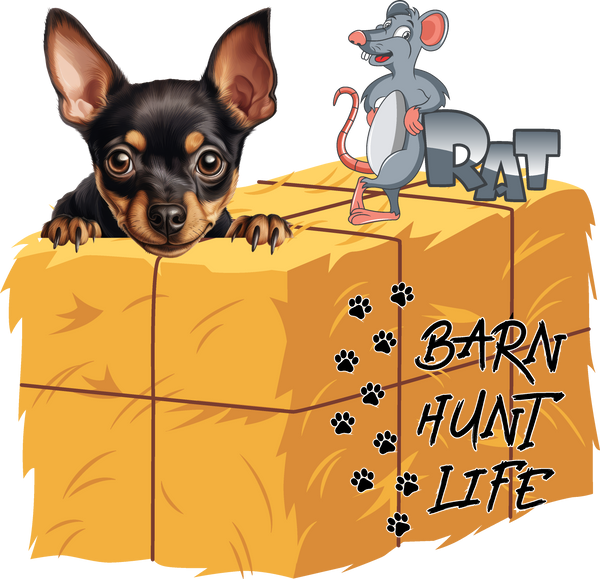 Barn Hunt Life - Miniature Pinscher