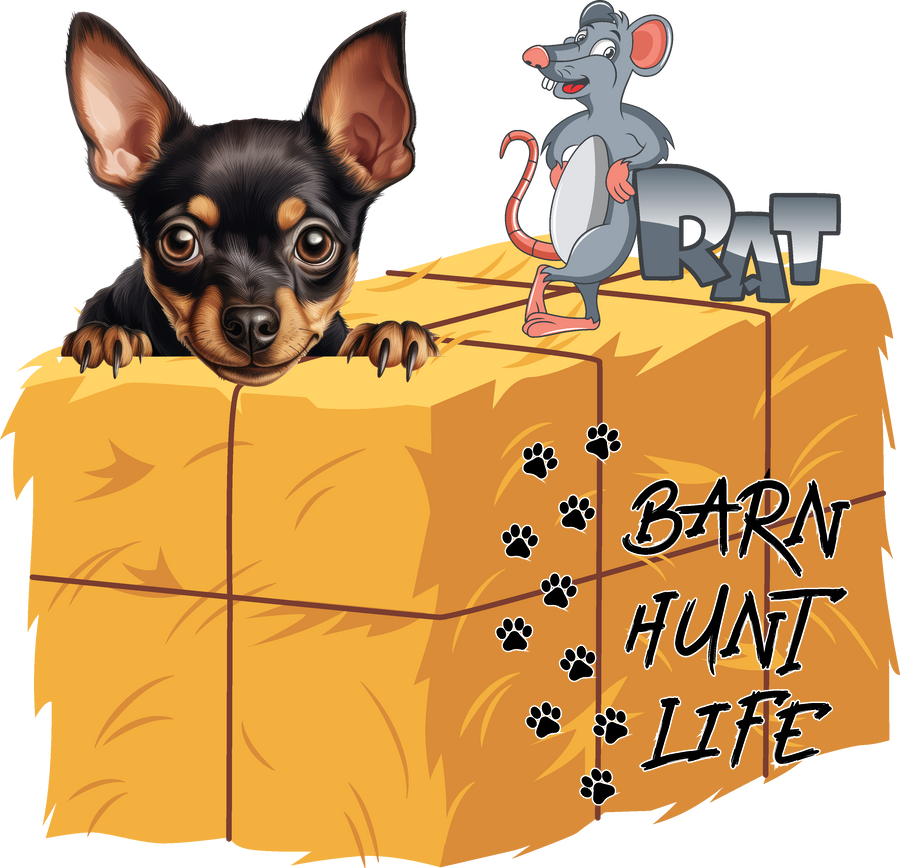 Barn Hunt Life - Miniature Pinscher
