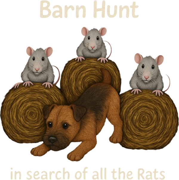 Barn Hunt: In Search of All the Rats - Border Terrier