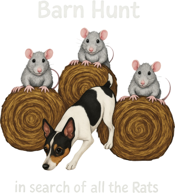 Barn Hunt: In Search of All the Rats - Rat Terrier