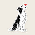 Border Collie Heart Decal - Border Collie with a red heart, die-cut vinyl sticker
