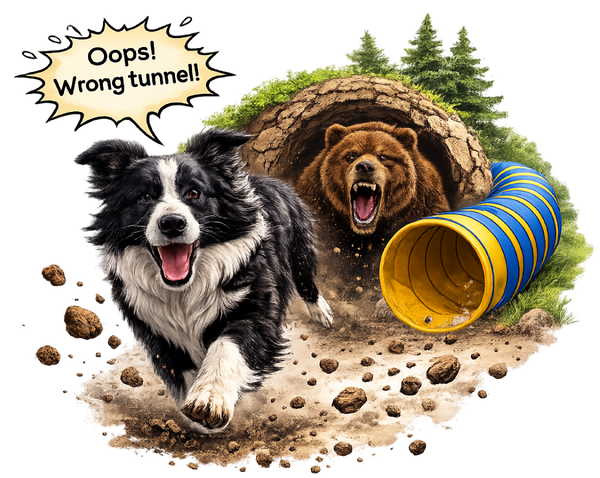 Oops! Wrong Tunnel - Border Collie