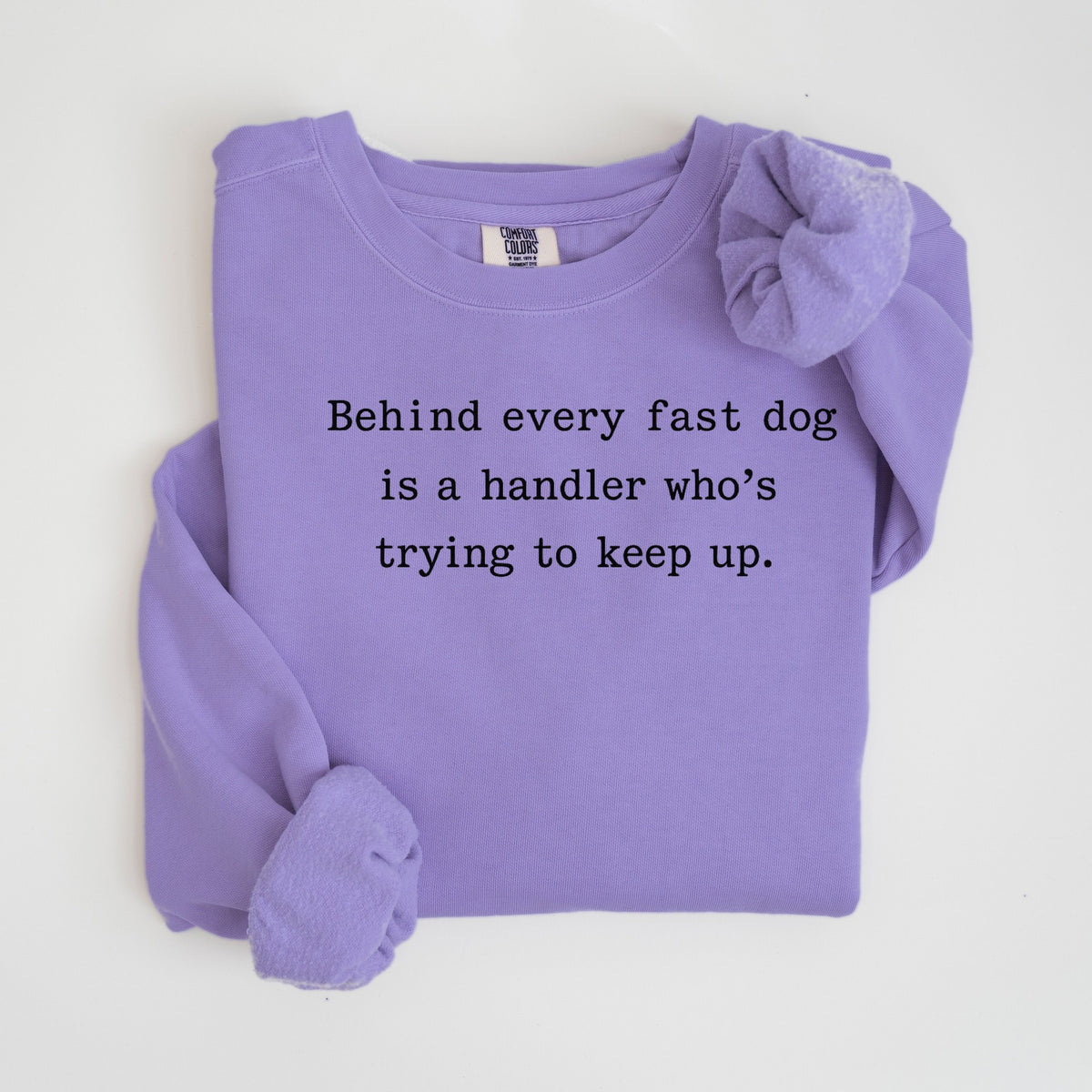 Behind Every Fast Dog Is a Handler Trying to Keep Up - Comfort Colors crewneck in Violet