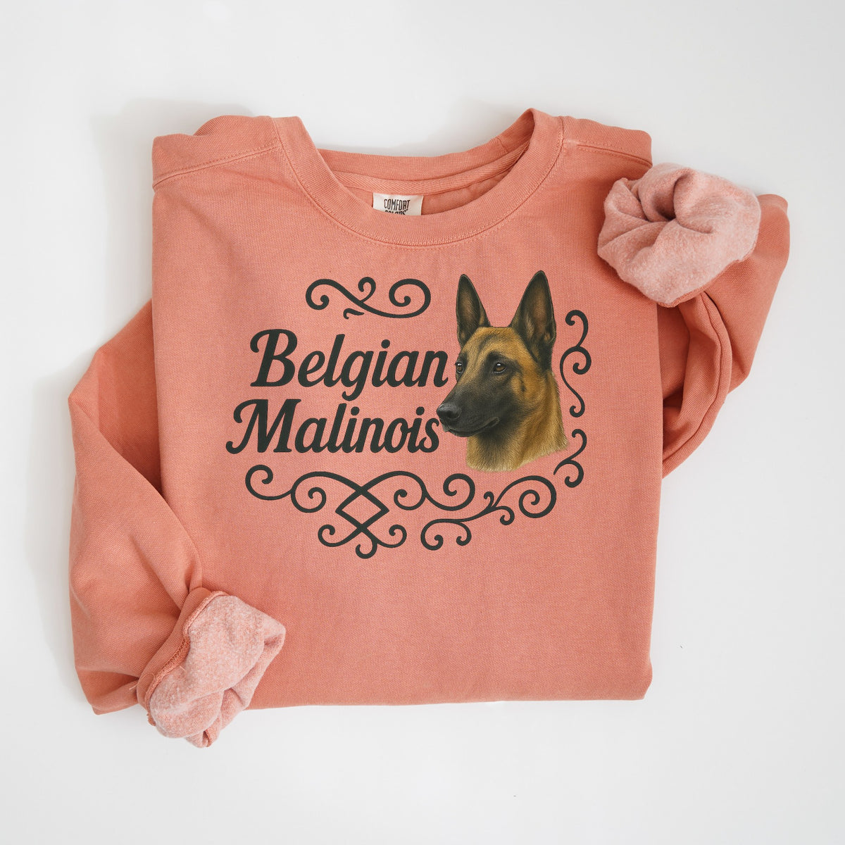 Belgian Malinois Portrait & Script - Comfort Colors crewneck in Terracotta