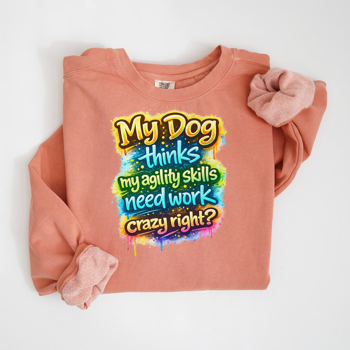 My Dog Thinks My Agility Skills Need Work - Comfort Colors crewneck in Terracotta
