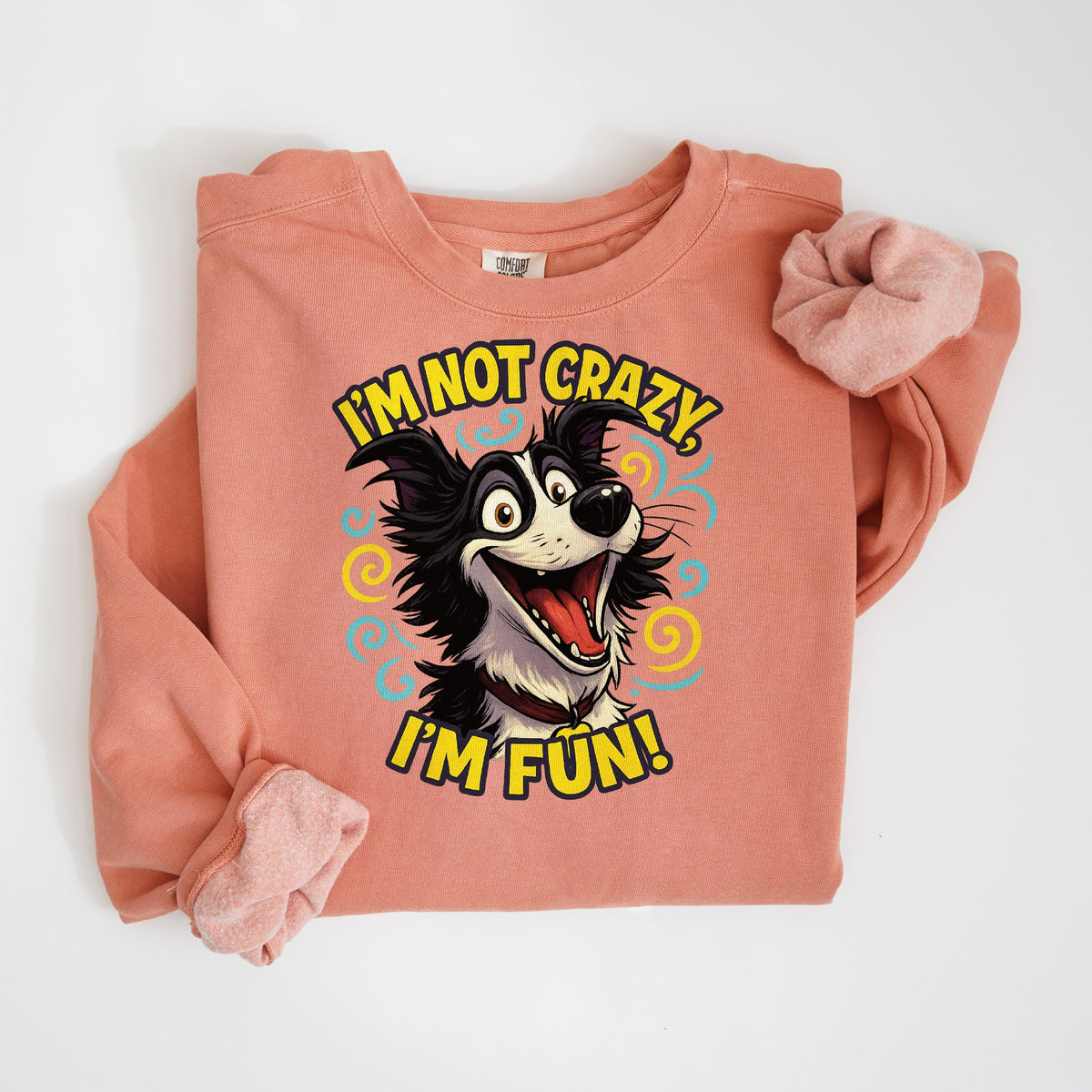 I'm Not Crazy, I'm Fun! - Border Collie - Comfort Colors crewneck in Terracotta