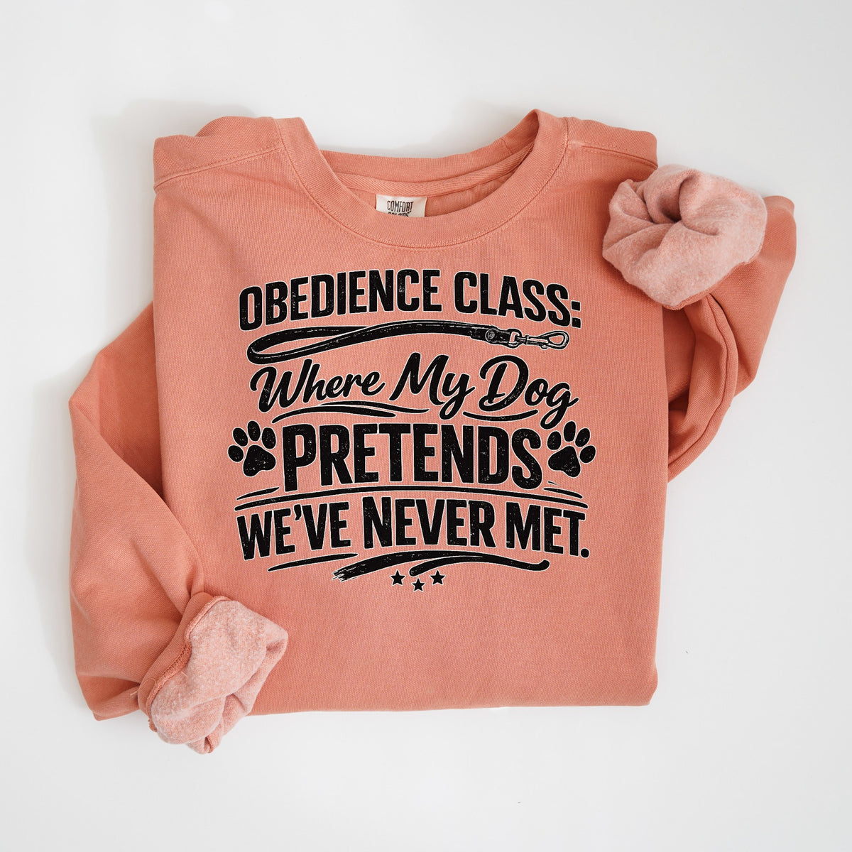 Obedience Class: Where My Dog Pretends We've Never Met - Comfort Colors crewneck in Terracotta