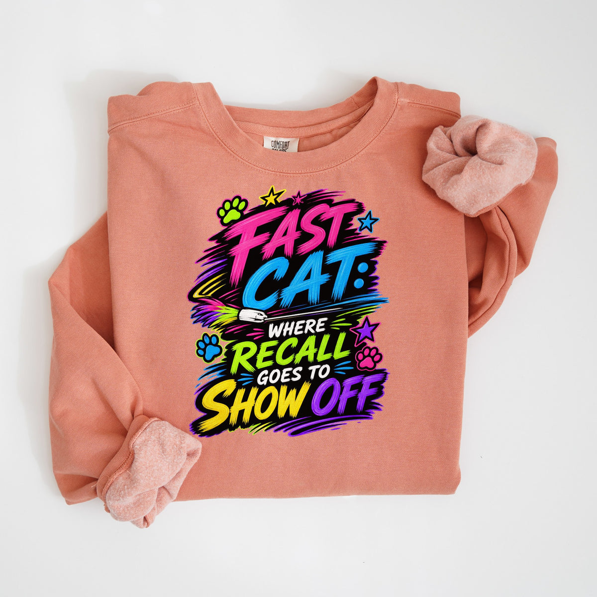 Fast CAT: Where Recall Goes to Show Off - Comfort Colors crewneck in Terracotta