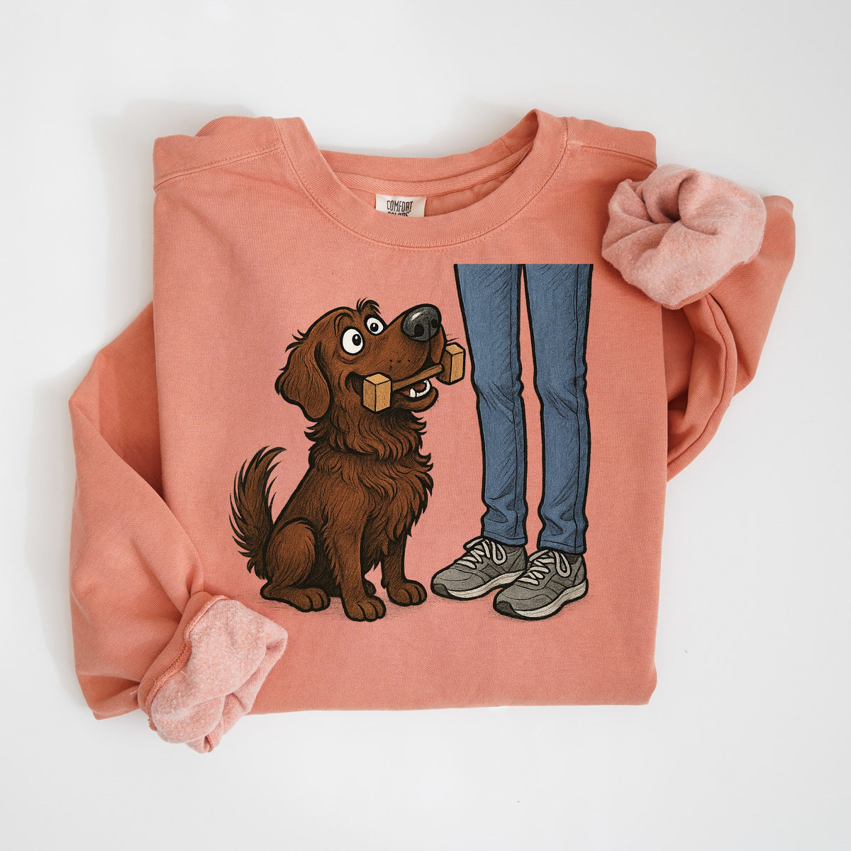 Dumbbell Retrieve - Chocolate Lab - Comfort Colors crewneck in Terracotta