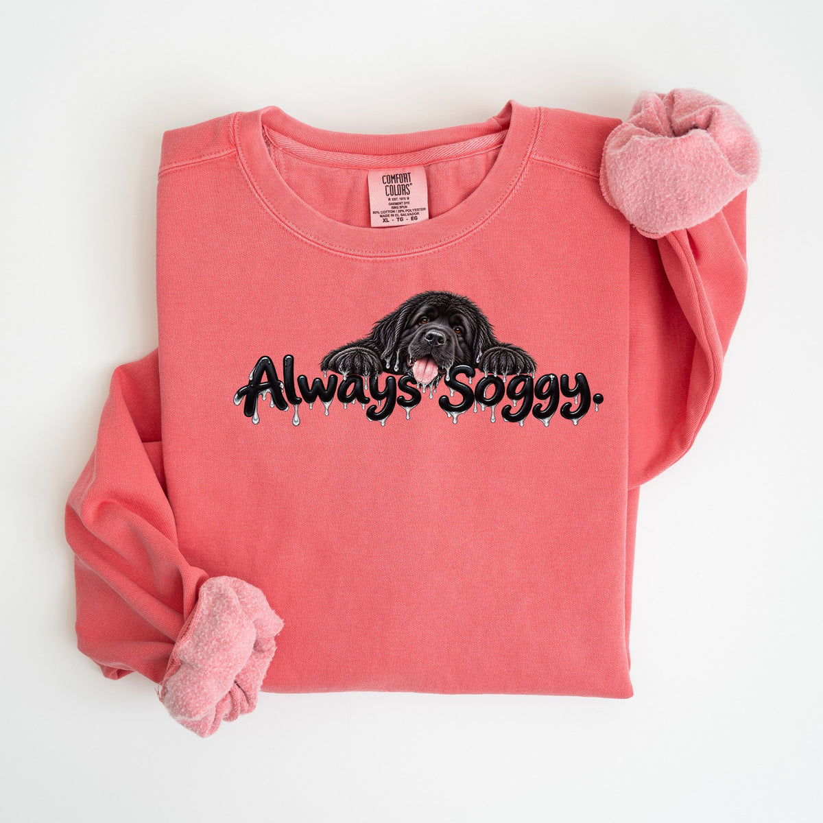 Always Soggy - Comfort Colors crewneck in Watermelon