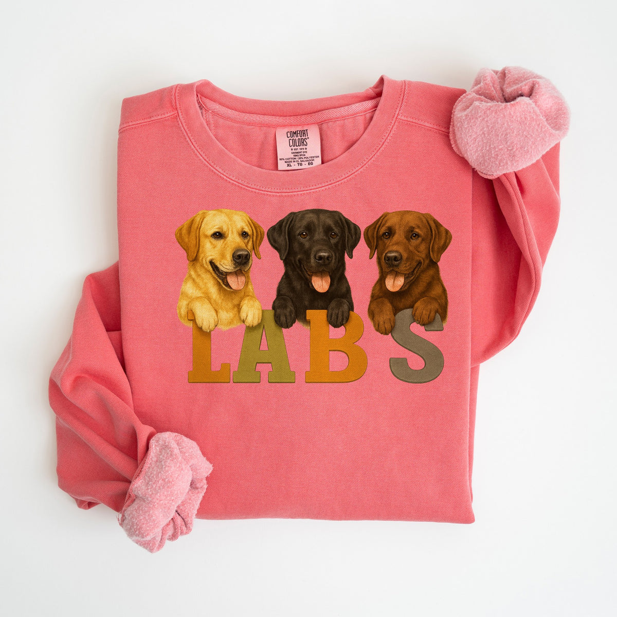 Labs Lineup - Comfort Colors crewneck in Watermelon