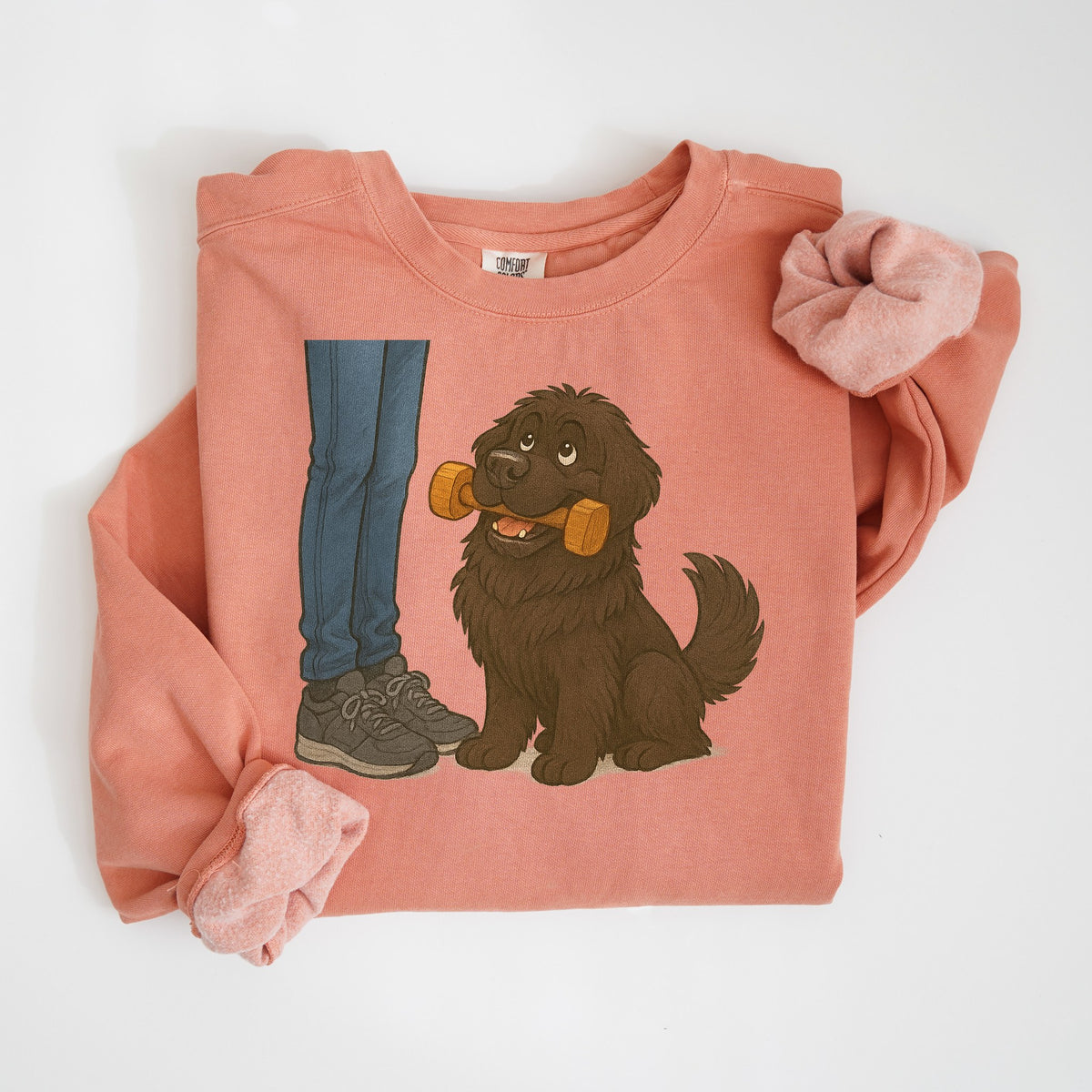 Dumbbell Retrieve - Newfoundland - Comfort Colors crewneck in Terracotta