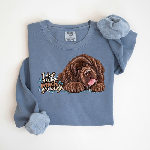 I Don't Ask How Much You Weigh - Comfort Colors crewneck in Blue Jean