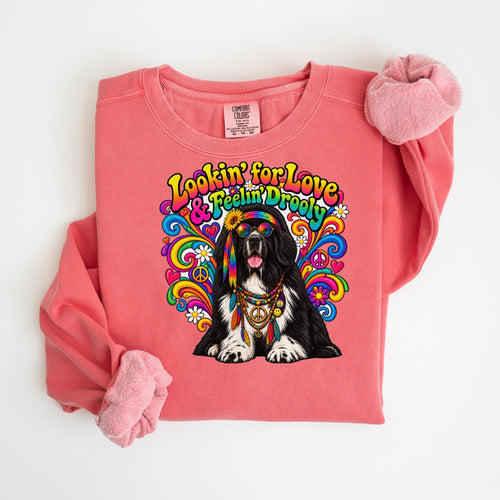 Lookin' for Love & Feelin' Drooly - Comfort Colors crewneck in Watermelon