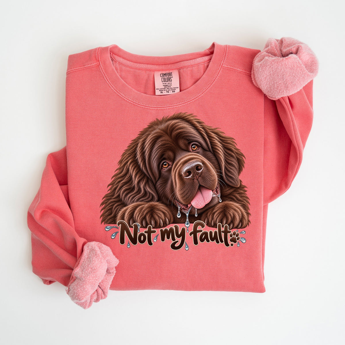 Not My Fault - Comfort Colors crewneck in Watermelon