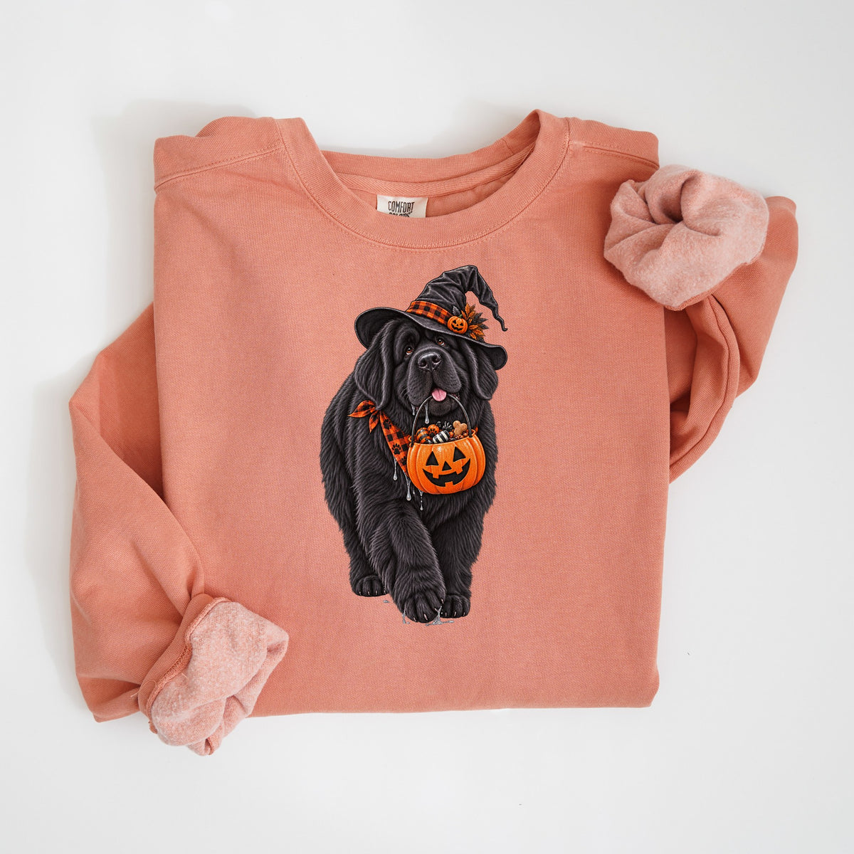 Trick-or-Treat Newfoundland - Comfort Colors crewneck in Terracotta