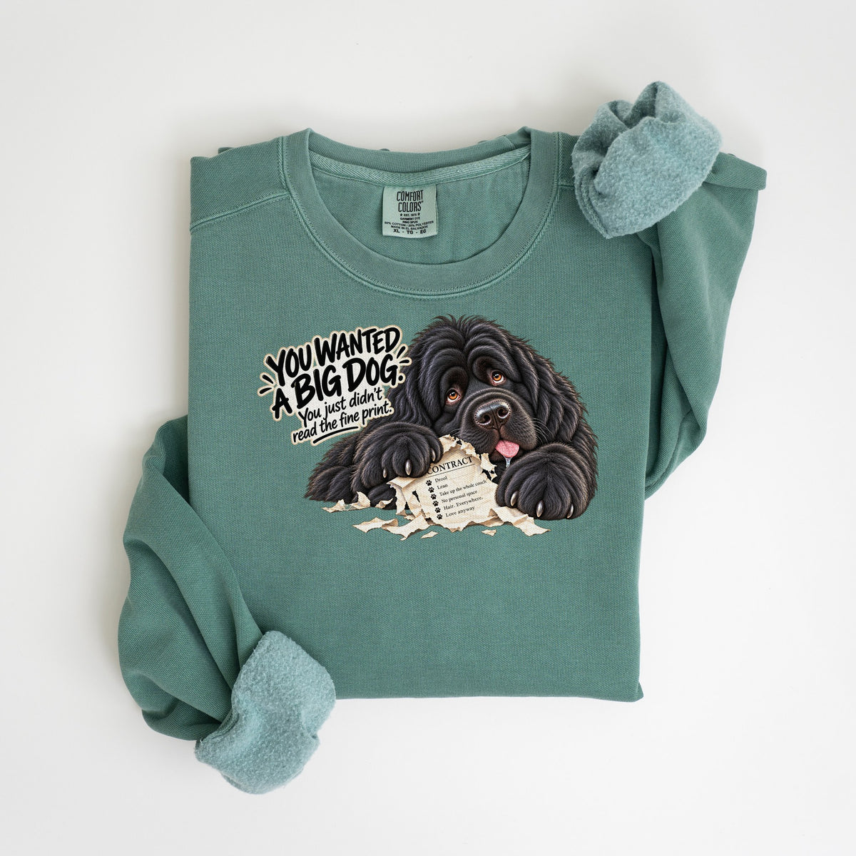 You Wanted a Big Dog - Comfort Colors crewneck in Light Green
