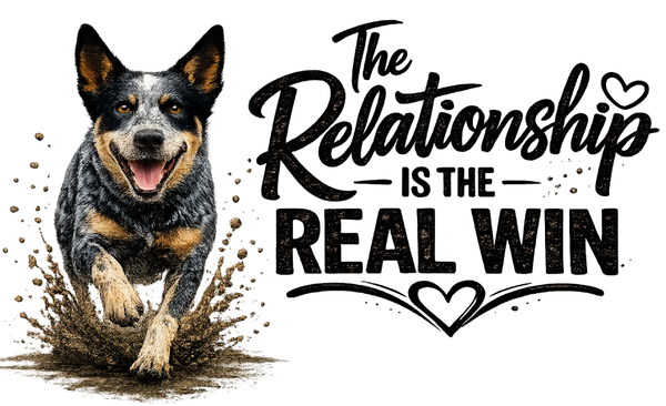 The Relationship Is the Real Win - Cattle Dog