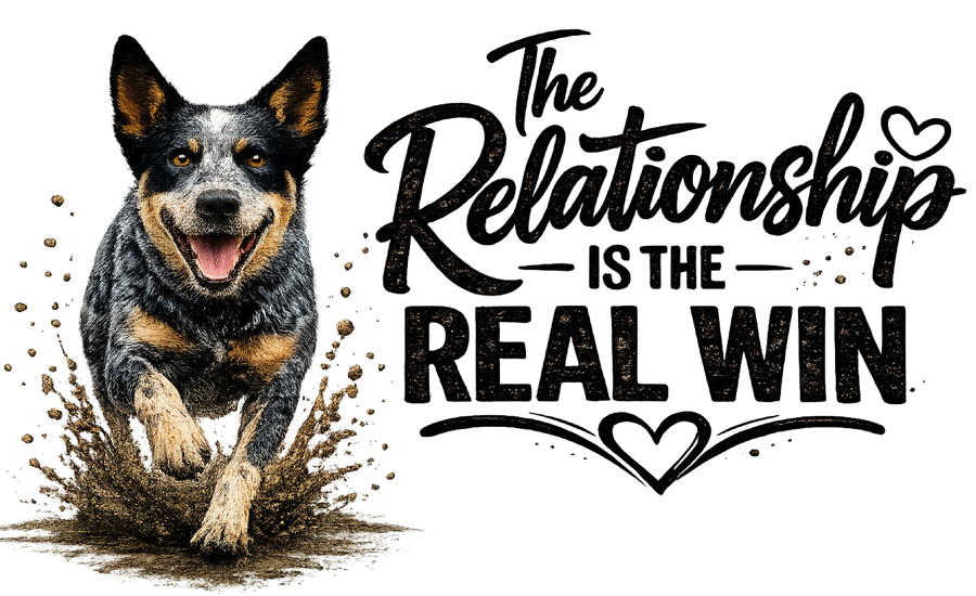 The Relationship Is the Real Win - Cattle Dog