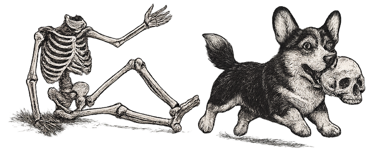 Lost Your Head - Cardigan Corgi shirt design
